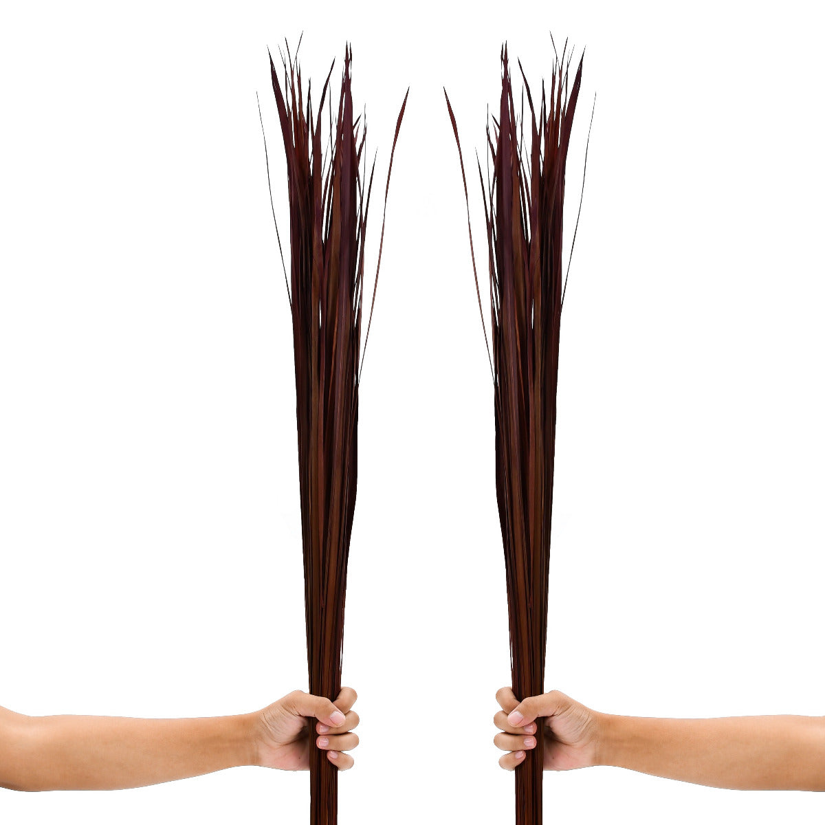 2-Pack Rattan Sticks for Floor Vases – Natural Decorative Twigs ( 8 per Bundle), bordeaux, Dried Grass