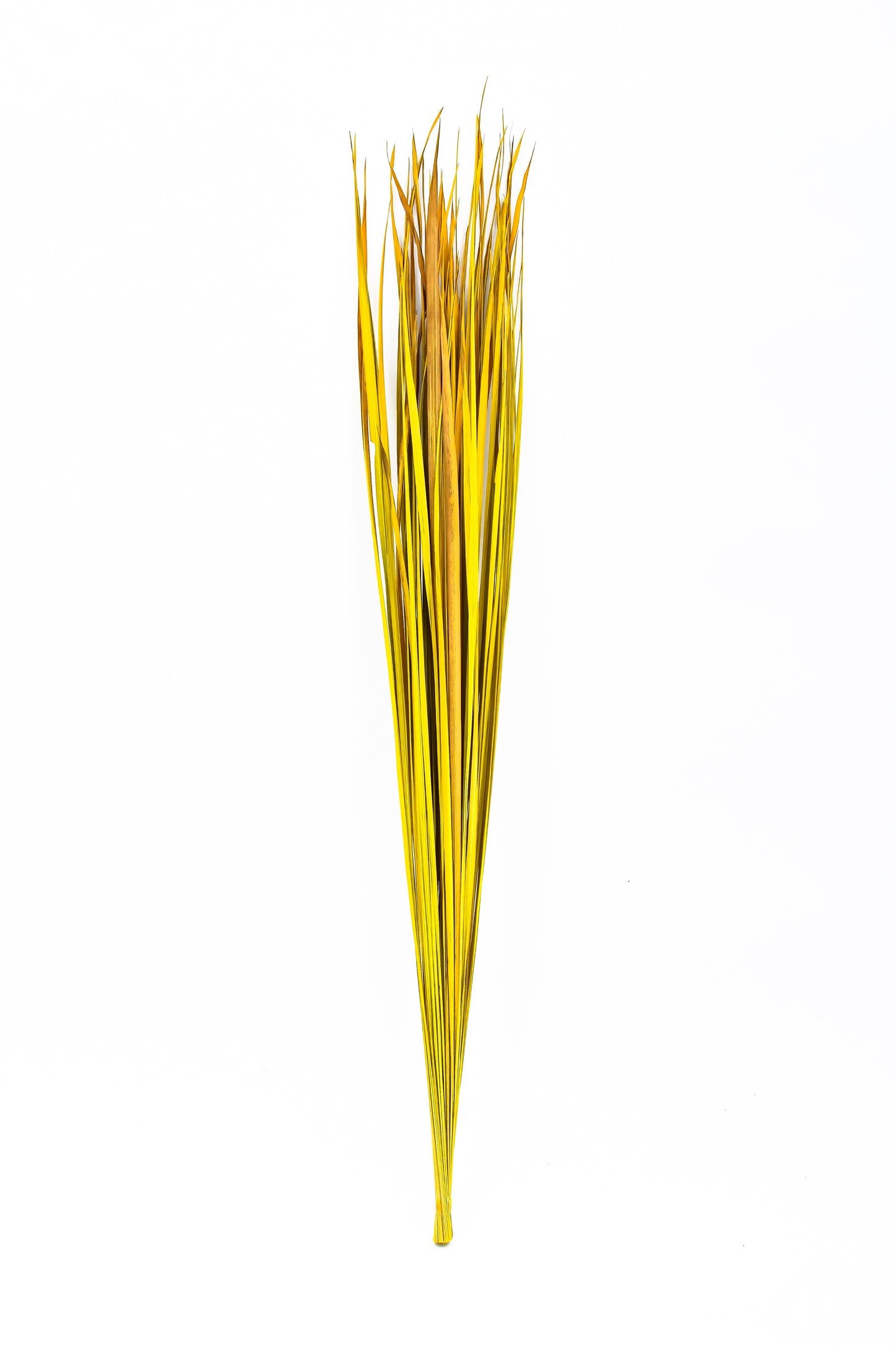 Set de 2 Ramilletes de Ramas de Ratán para Jarrones de Suelo – 8 Varas por Ramillete