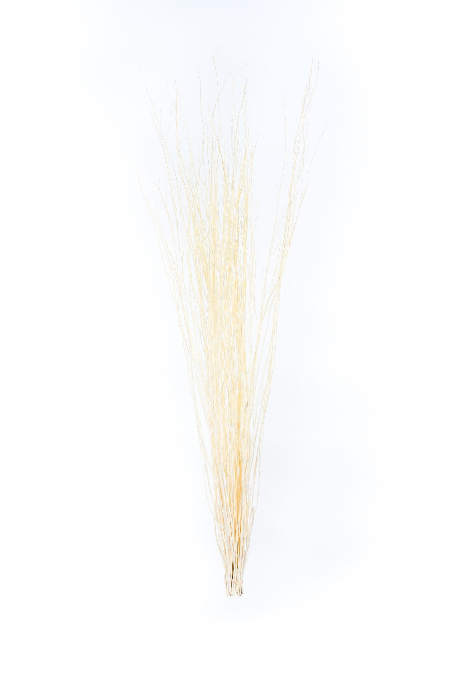 Set de 2 Ramilletes de Ramas de Ratán para Jarrones de Suelo – 8 Varas por Ramillete