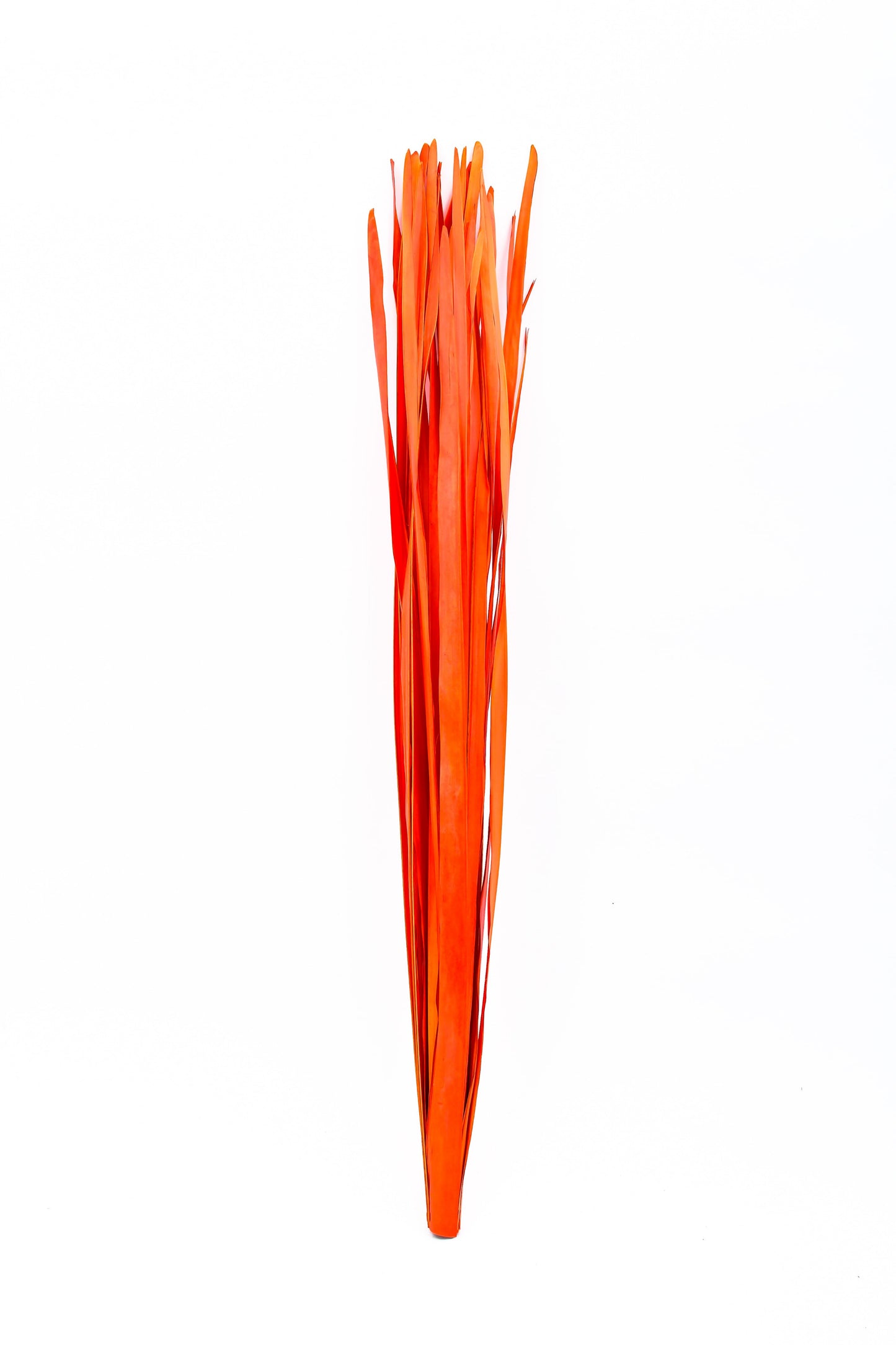 Set de 2 Ramilletes de Ramas de Ratán para Jarrones de Suelo – 8 Varas por Ramillete